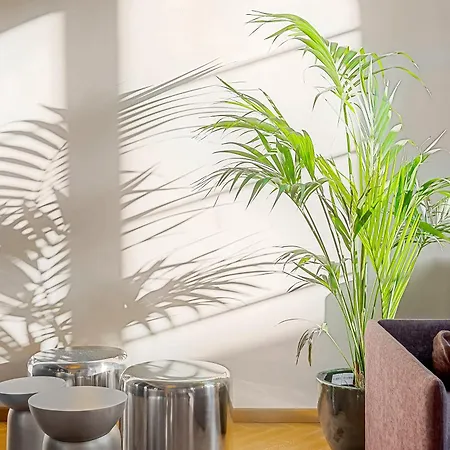 Via Venezia 10 - Renaissance - Historic Charm With Frescoes And Private Courtyard Parking In Heart *